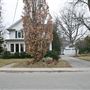 Neilson Avenue