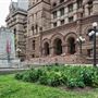 Old Toronto City Hall