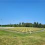 Guthrie Lions Ball Diamonds