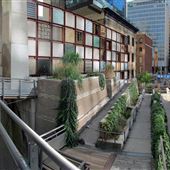 Cloud Gardens