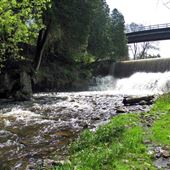 Progreston Falls