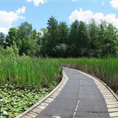 Terra Cotta Conservation Area CVC
