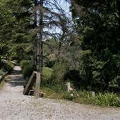 Walker Arboretum