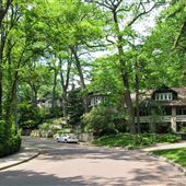 Pine Crescent