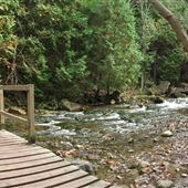 Belfountain Conservation Area CVC
