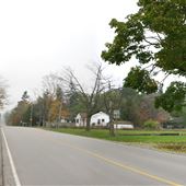 Reesor Road between Steeles and 14th Avenue