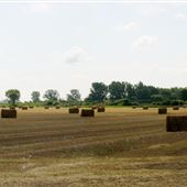 Chatham-Kent