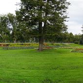 Lorne Park Brantford