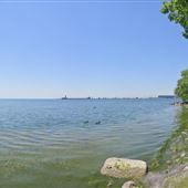 Tall Oaks Park
