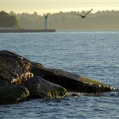 Lakeview Park