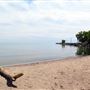 Port Hope