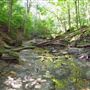 Louth Conservation Area NPCA
