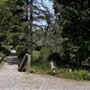 Walker Arboretum