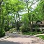 Pine Crescent