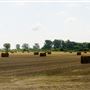 Chatham-Kent