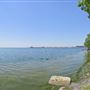 Tall Oaks Park