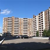Barlake Avenue