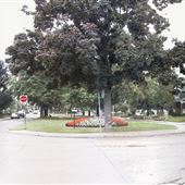 Belsize Drive