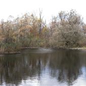 Beverley Swamp HCA