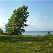 Fifty Point Conservation Area & Marina HCA