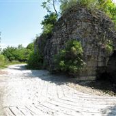 Chedoke Radial Trail
