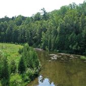 Forks of The Credit Provincial Park