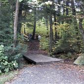 Hardwood Lookout