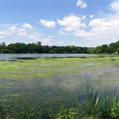 High Park
