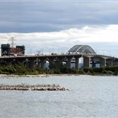 James N Allen Skyway Bridge