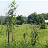 Northern Ontario Country Roads