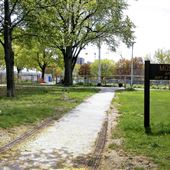 Moss Park