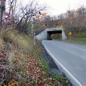 New Mountain Road