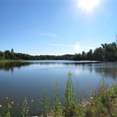 Secord Forest and Wildlife Area TRCA