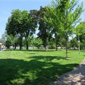 Alexandra Park Toronto