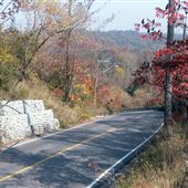 Twyn Rivers Drive