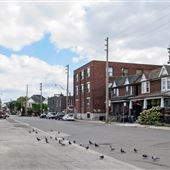 Wade Avenue