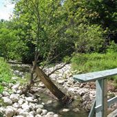 Wilket Creek Park