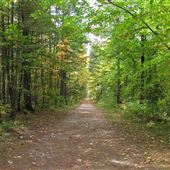 Durham Regional Forest