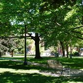 Alexandra Park Brantford