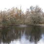 Beverley Swamp HCA