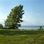 Fifty Point Conservation Area & Marina HCA