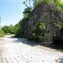 Chedoke Radial Trail