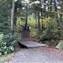 Hardwood Lookout