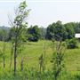 Northern Ontario Country Roads