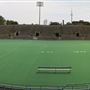 Lamport Stadium