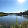 Secord Forest and Wildlife Area TRCA