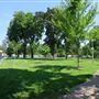 Alexandra Park Toronto