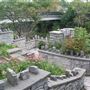 Templin Gardens
