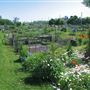 Leslie Street Allotment Gardens