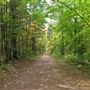 Durham Regional Forest